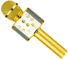 Premie 11Karaokemikrofon – Guld