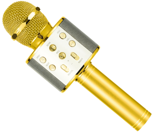 Karaokemikrofon – Guld