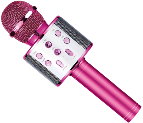 Karaokemikrofon – Rosa