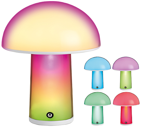 Bordslampa USB