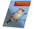 Fågelguiden – Lär dig känna igen 150 fåglar