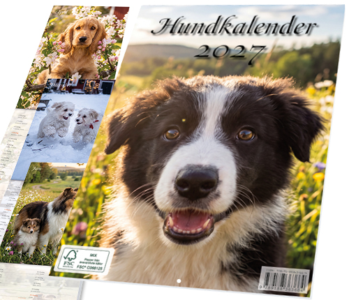 Hundkalender 2027