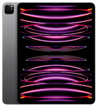 iPad Pro 11'' - Rymdgrå